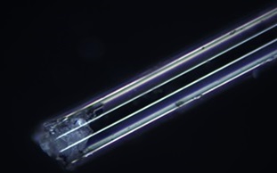 顯微鏡觀察方式之暗場觀察