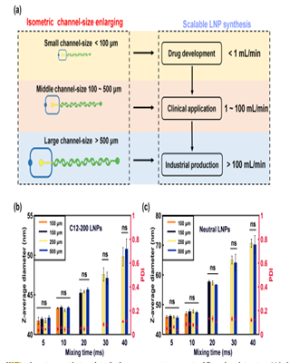 明美倒置顯微鏡助力脂質(zhì)納米顆粒合成研究