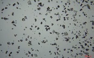 金相顯微鏡助力化妝品添加劑檢測