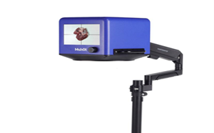 病理診斷“盲區(qū)”被照亮！明美大體成像儀：為大體標(biāo)本裝上“數(shù)字火眼”！